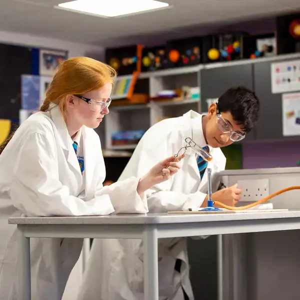Senior Curriculum