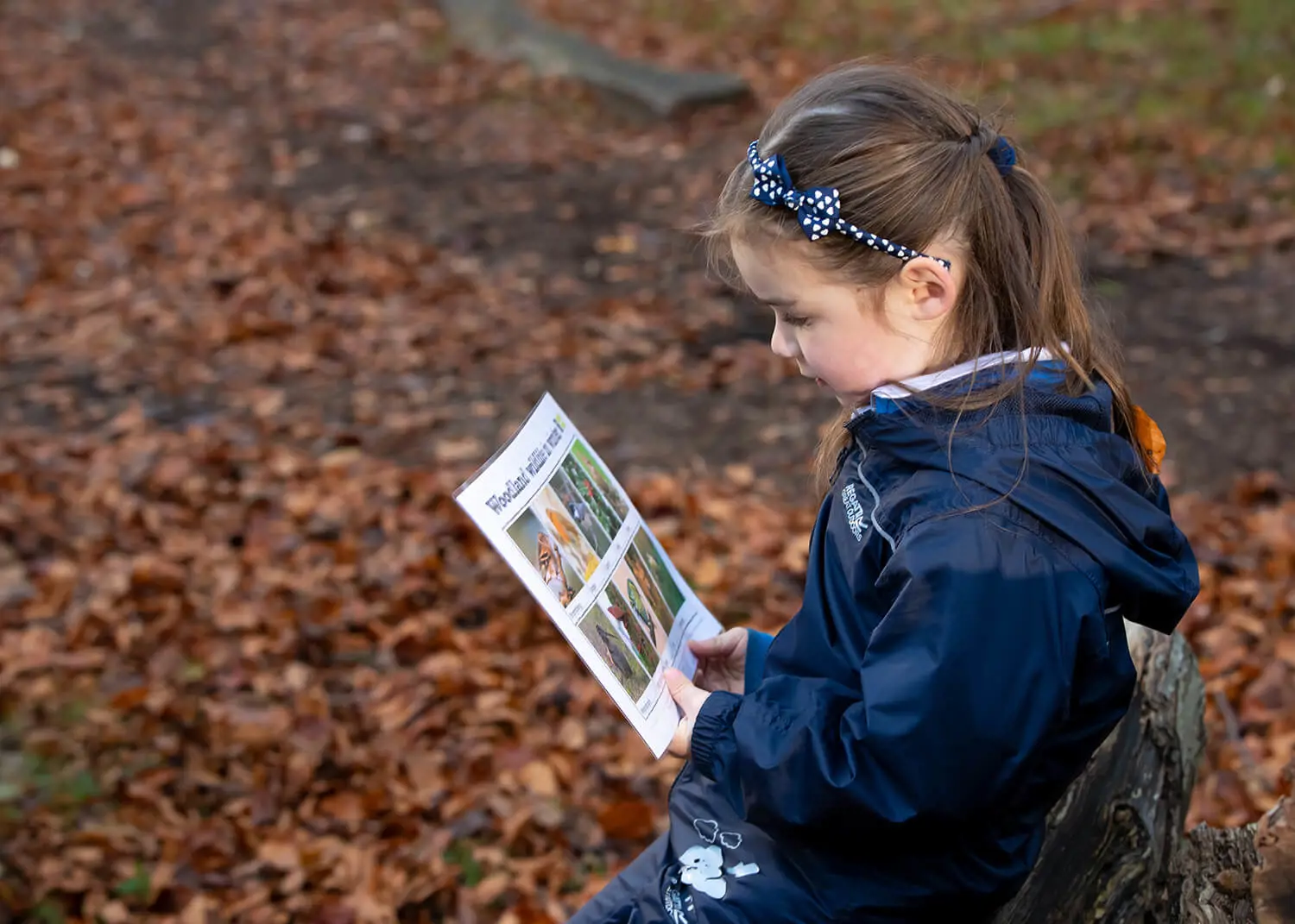 Children learning in Forest School at The Gregg Prep
