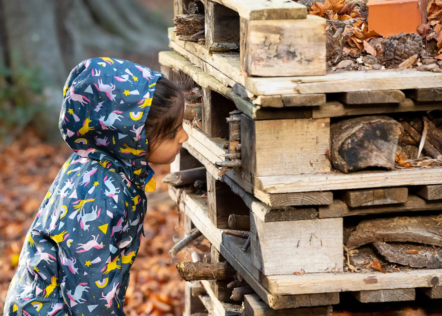 Children learning in Forest School at The Gregg Prep