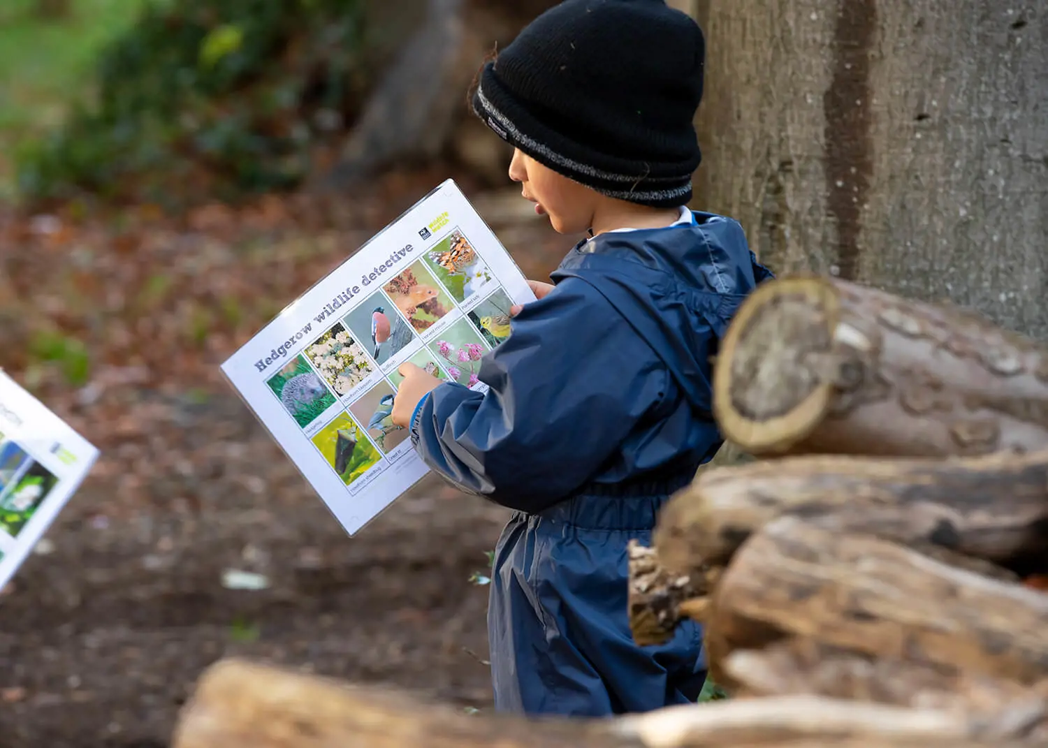 Children learning in Forest School at The Gregg Prep