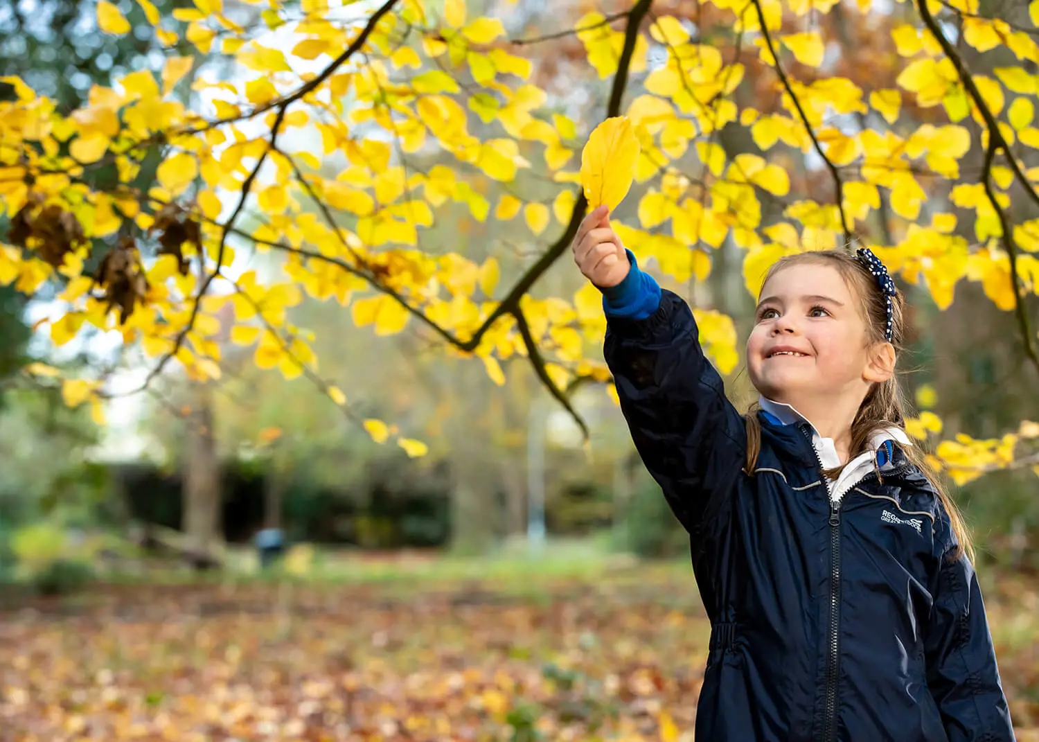 Children learning in Forest School at The Gregg Prep