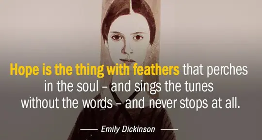  OptimizedImage,,,Optimized