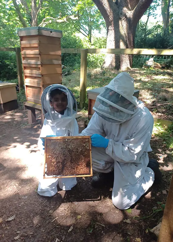 Senior Forest School at The Gregg School