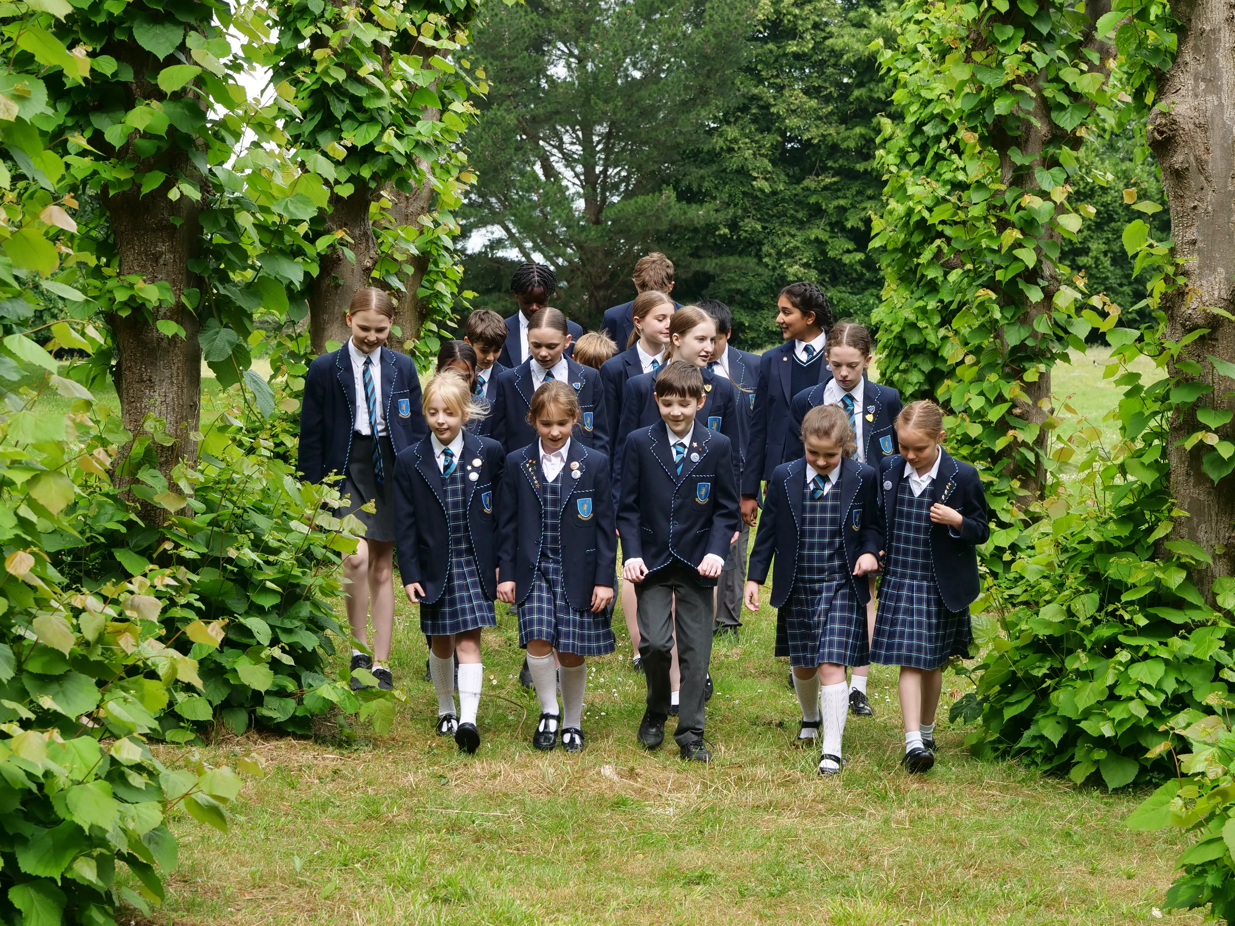  OptimizedImage,,,Optimized